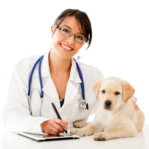 Veterinaria